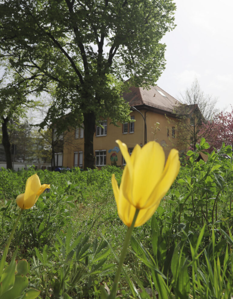 Beschluss gefasst: Bedarfsgerechter und nachhaltiger Umbau der Kita Zwergenland in Wildau
