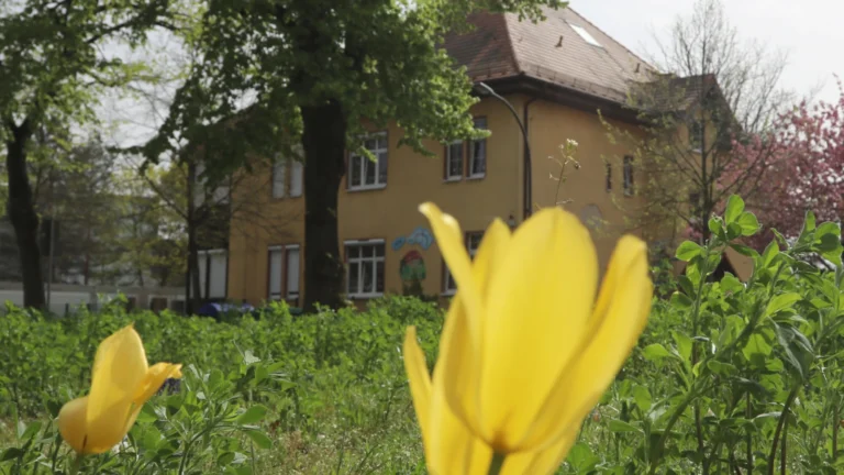 Kritik an den Ausbauplänen der Kita Zwergenland: Nachhaltig, bedarfsgerecht und zukunftsfähig planen