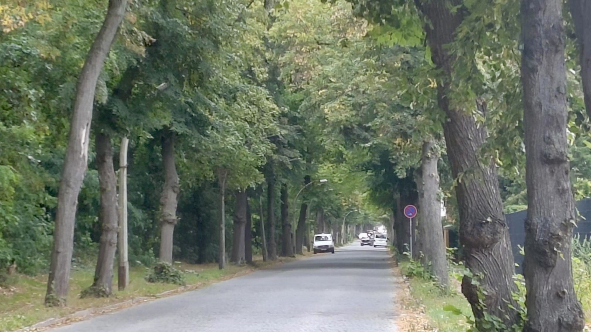 Sanierung der Seestraße – Planungen müssen aktualisiert werden